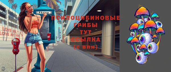 экстази Медвежьегорск