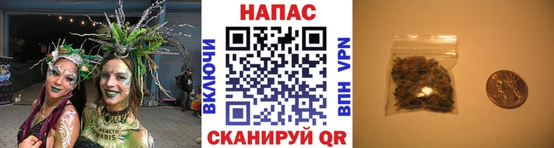 Бошки марихуана план Лодейное Поле